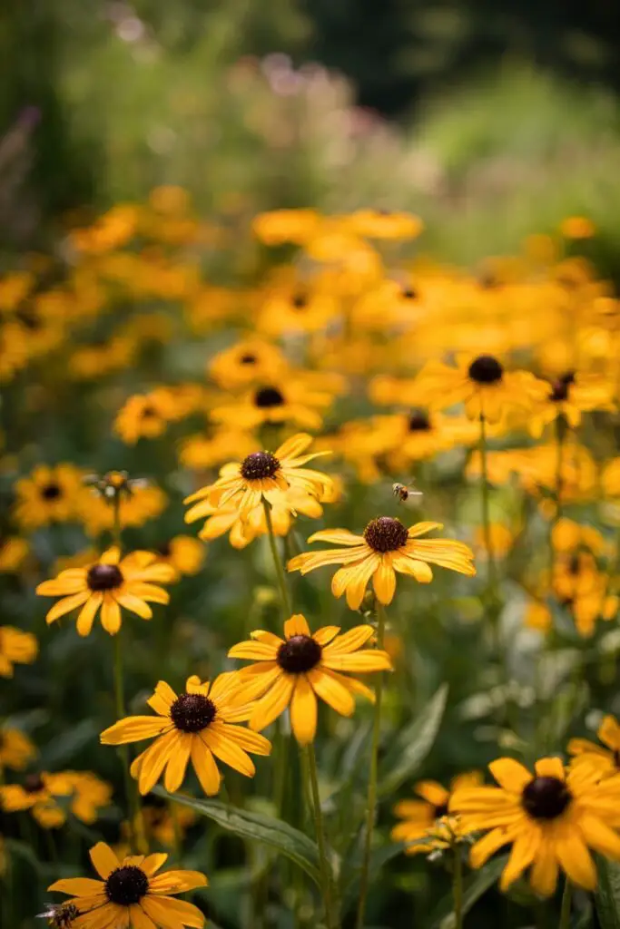 9 Perennial Flowers to Plant in April for Lasting Blooms 5 9 Perennial Flowers to Plant in April for Lasting Blooms