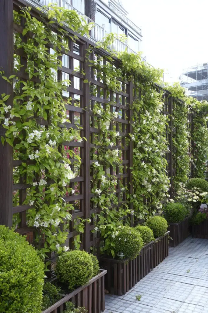 10 Creative Garden Trellis Ideas for Vertical Gardening 5 10 Creative Garden Trellis Ideas for Vertical Gardening