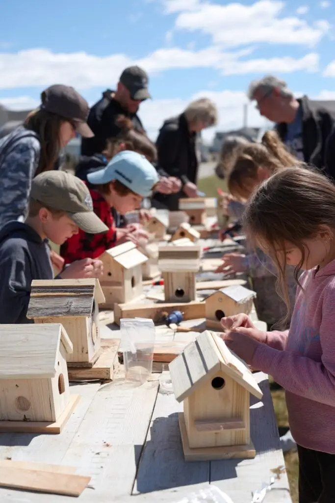 DIY Birdhouse: Build Easy Bird Houses for Your Backyard 6 DIY Birdhouse: Build Easy Bird Houses for Your Backyard