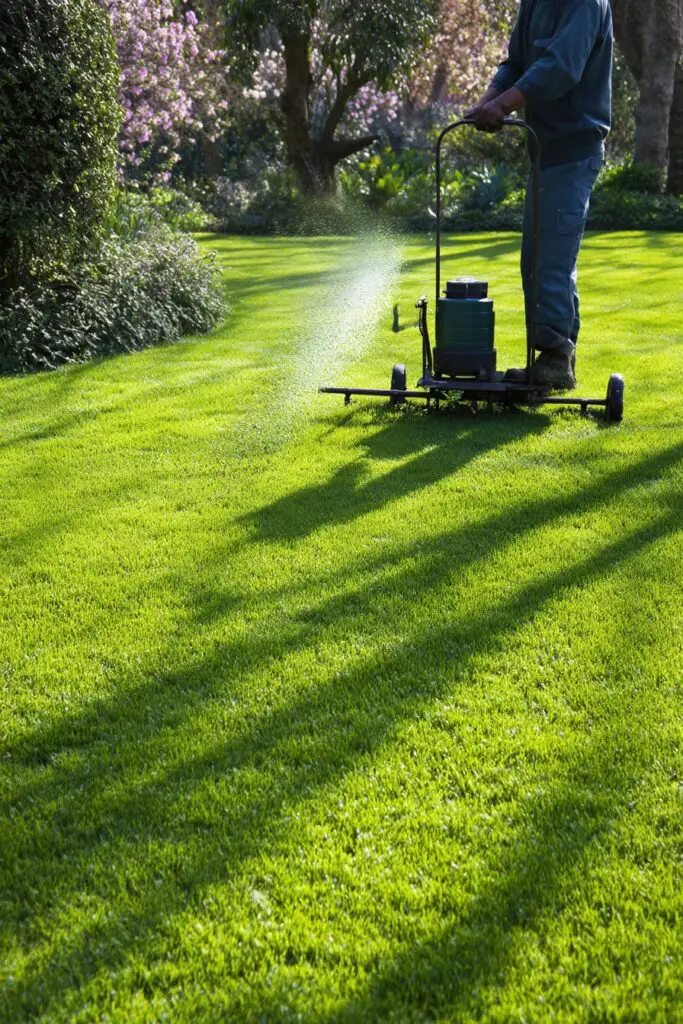 7 Steps to a Spectacular Spring Garden 3 7 Steps to a Spectacular Spring Garden