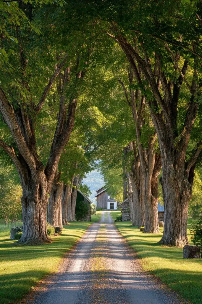 8 Farmhouse Driveway Entrance Ideas That Impress 9 8 Farmhouse Driveway Entrance Ideas That Impress