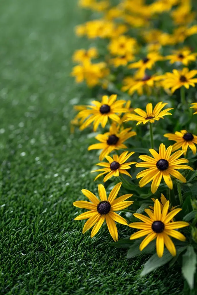5 Wildflowers Perfect for Synthetic Turf 2 5 Wildflowers Perfect for Synthetic Turf
