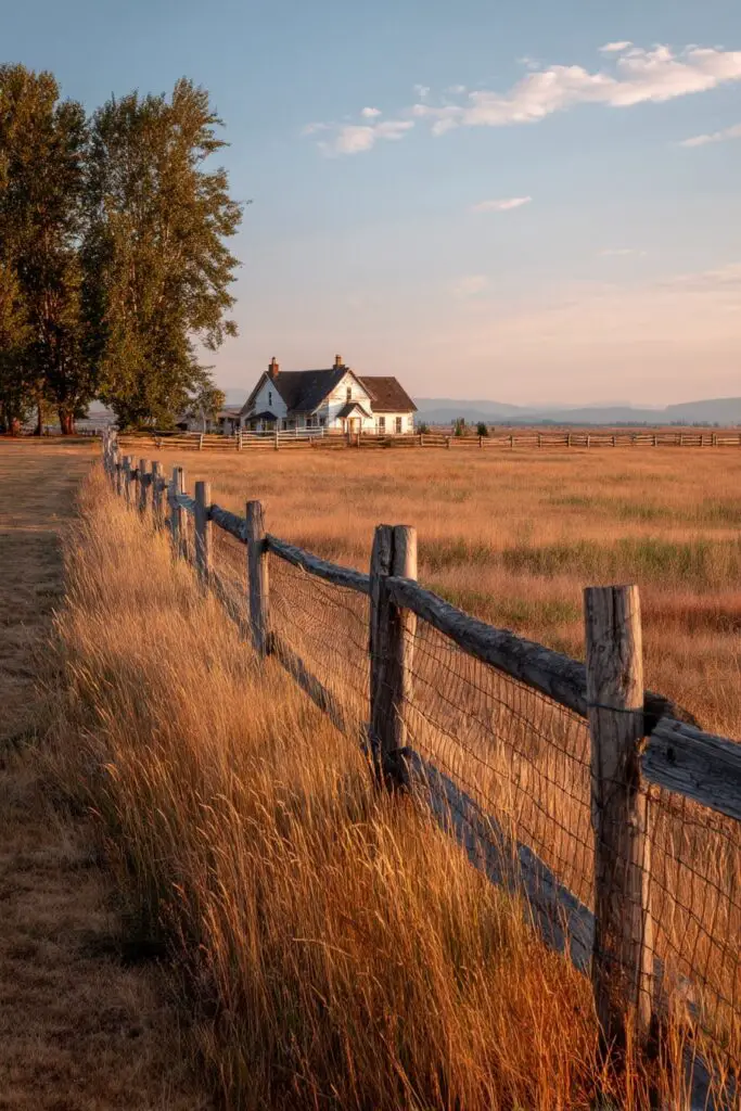 Cheap Fence Ideas for Budget-Friendly Fencing 7 Cheap Fence Ideas for Budget-Friendly Fencing