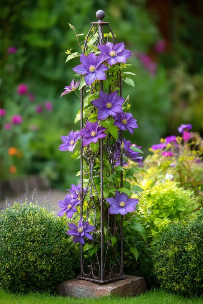 Clematis Trellis Ideas for a Stunning Garden 4 Clematis Trellis Ideas for a Stunning Garden