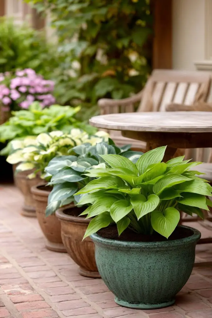 5 Ways to Design With Hostas in Your Garden 7 5 Ways to Design With Hostas in Your Garden