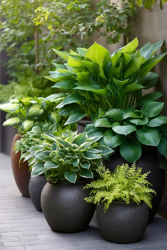 Hosta Garden Ideas for a Stunning Shade Landscape 9 Hosta Garden Ideas for a Stunning Shade Landscape
