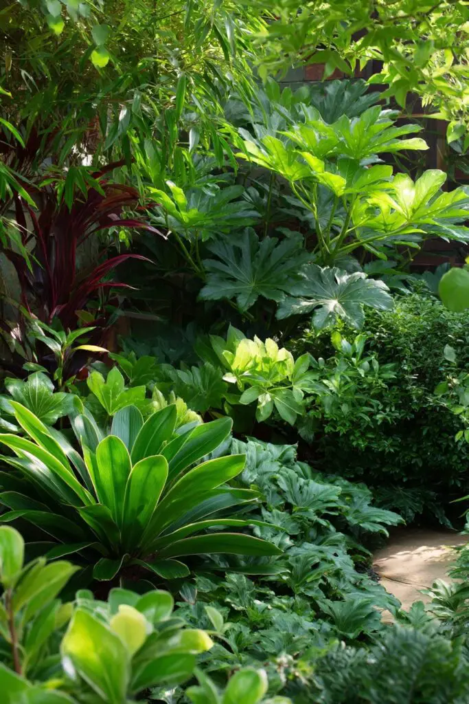 Evergreen Landscape: 9 Ways to Add Year-Round Structure 10 Evergreen Landscape: 9 Ways to Add Year-Round Structure