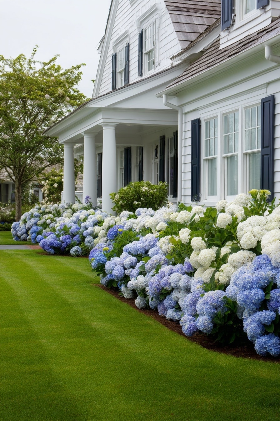 Hydrangea Landscaping Ideas for Spring Gardens